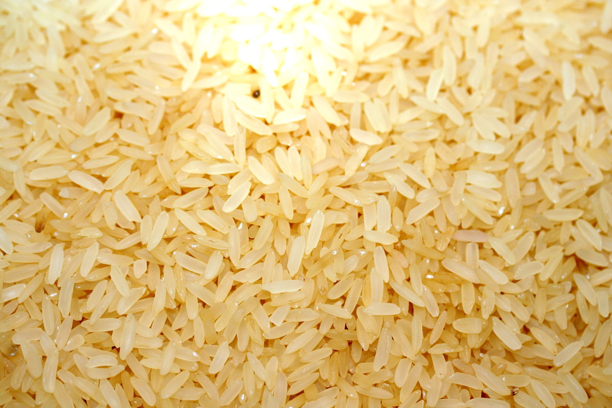 File:Rice.jpg