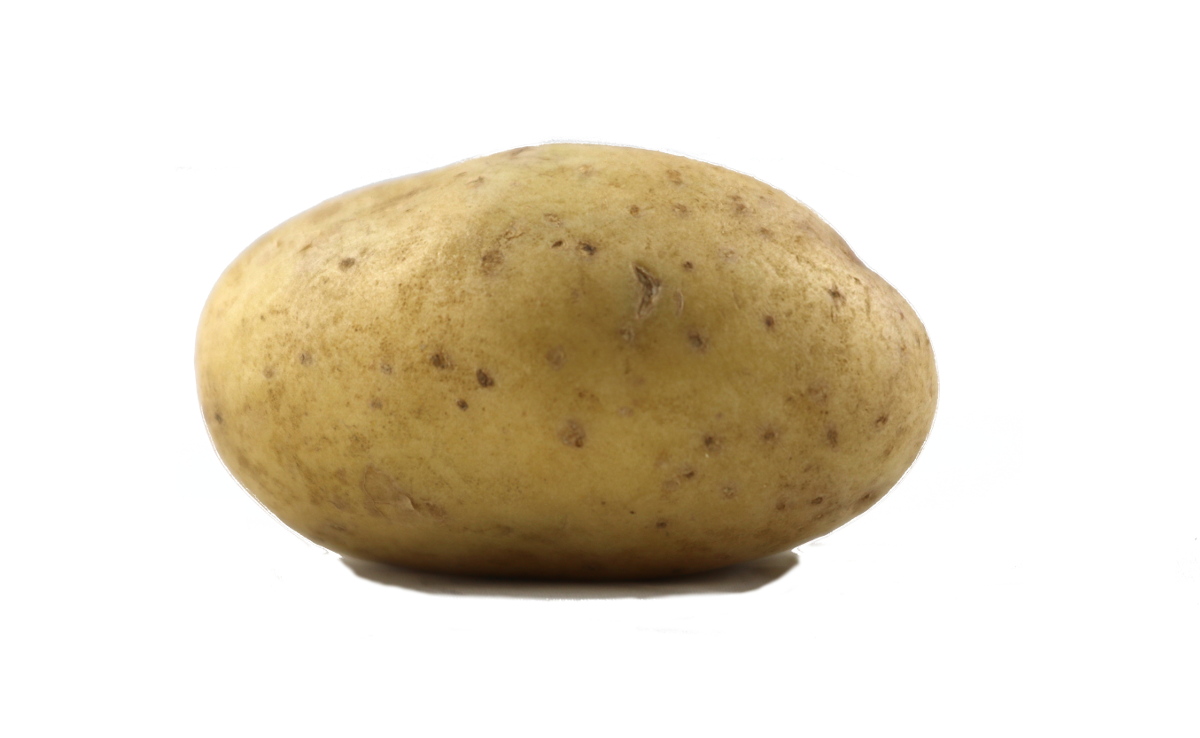 File:Kartoffel.JPG